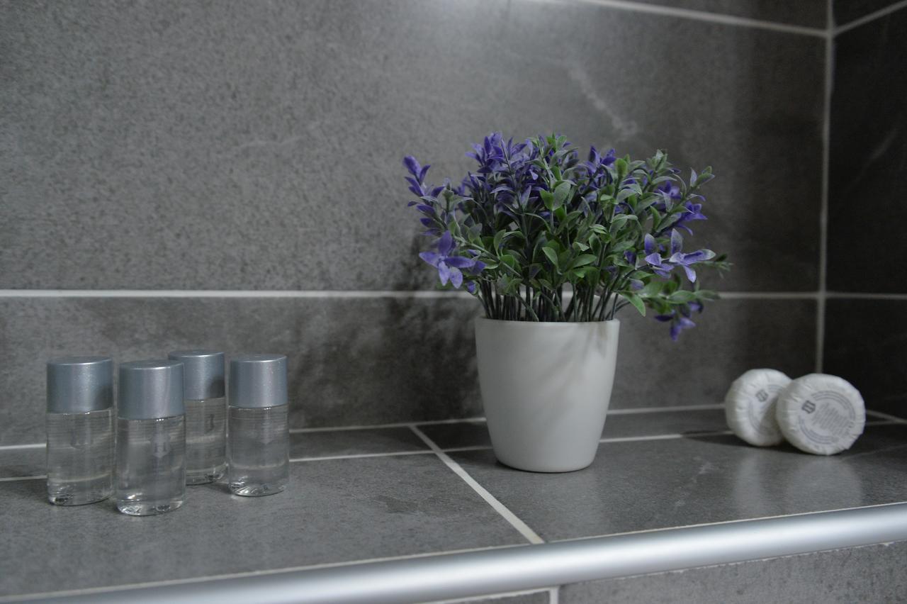 Apartment Pleasure Novi Sad Dış mekan fotoğraf